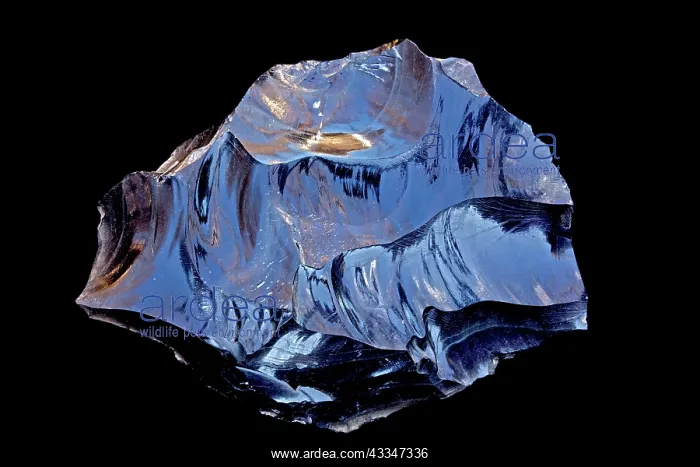 : 80195629 obsidian, California John Cancalosi All : 80195629 obsidian, California John Cancalosi All