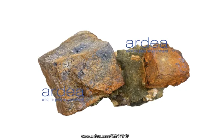 : 80195631 Galena, PbS, Lead sulfide, main ore mineral : 80195631 Galena, PbS, Lead sulfide, main ore mineral