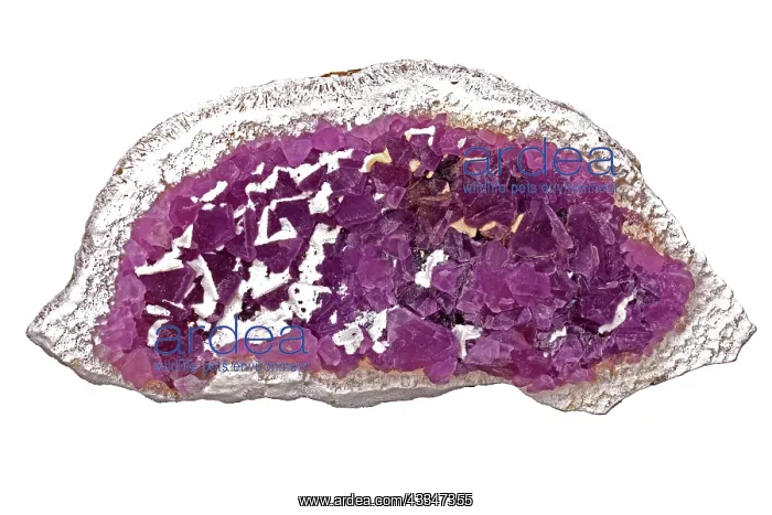 : 80195632 Fluorite, Ca Fl, Mina la Navidad, Durango : 80195632 Fluorite, Ca Fl, Mina la Navidad, Durango