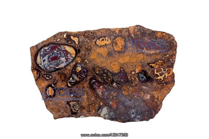 : 80195633 boulder opal, Australia John Cancalosi : 80195633 boulder opal, Australia John Cancalosi