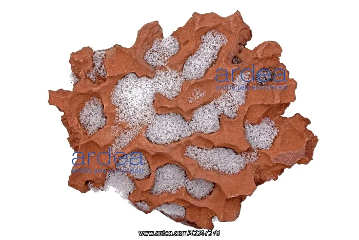 : 80195635 Weathered sandstone Utah, with snow John : 80195635 Weathered sandstone Utah, with snow John