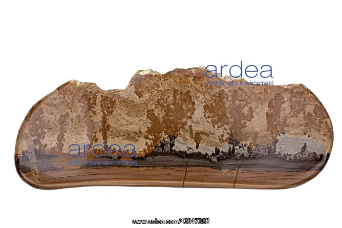 : 80195636 Cotham Marble or Landscape Marble is a : 80195636 Cotham Marble or Landscape Marble is a