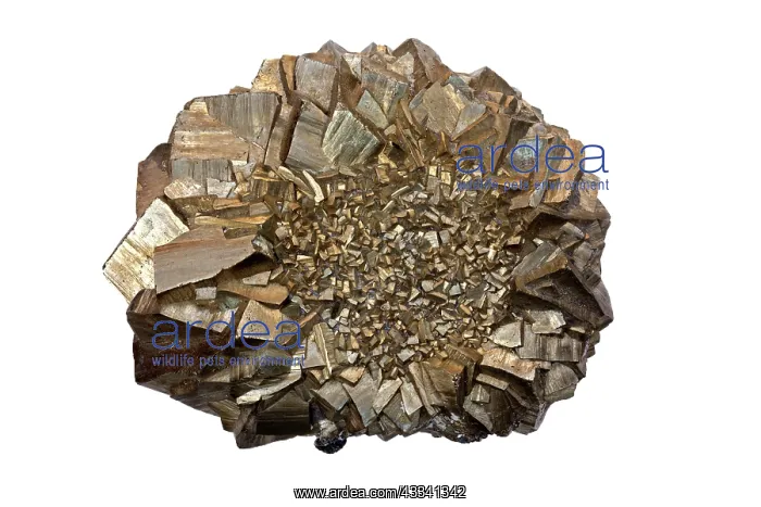 : 80195638 Pyrite, FeS, iron sulfide, fools gold : 80195638 Pyrite, FeS, iron sulfide, fools gold