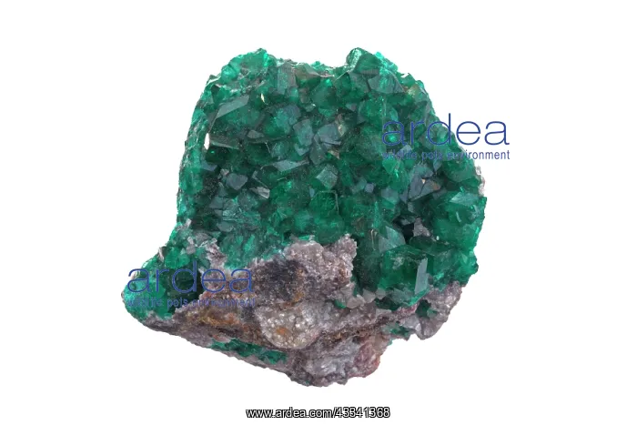 : 80195641 Dioptase, copper cyclosilicate mineral : 80195641 Dioptase, copper cyclosilicate mineral