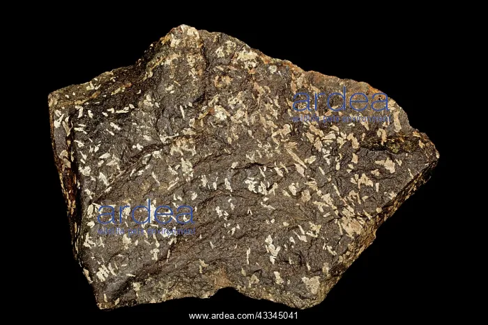 : 80195646 Cumberlandite, a rare igneous rock found : 80195646 Cumberlandite, a rare igneous rock found