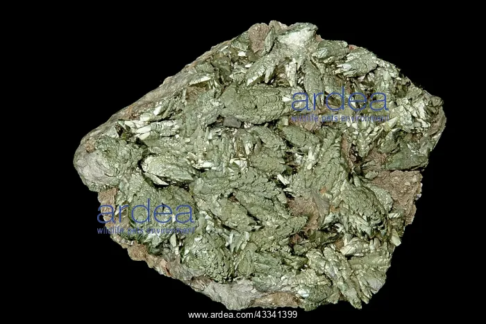 : 80195653 Arsenopyrite is an iron arsenic sulfide : 80195653 Arsenopyrite is an iron arsenic sulfide