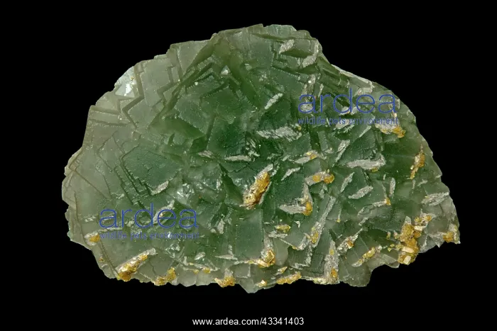 : 80195654 Fuorite, China, Calcium floride, China : 80195654 Fuorite, China, Calcium floride, China