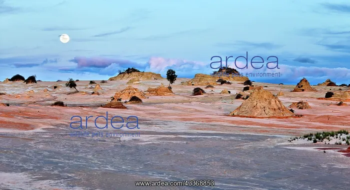 : 80196641 The Mungo National Park is a protected : 80196641 The Mungo National Park is a protected