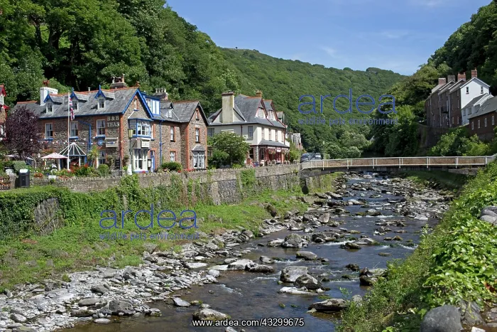 : 80196771 East Lyn River - rebuilt after 1952 floods : 80196771 East Lyn River - rebuilt after 1952 floods