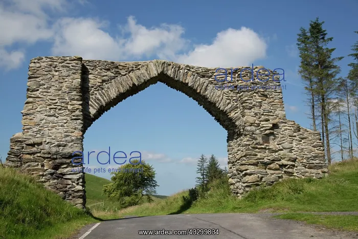 : 80196788 Pontarfynachnear Devil's Bridge - stone : 80196788 Pontarfynachnear Devil's Bridge - stone