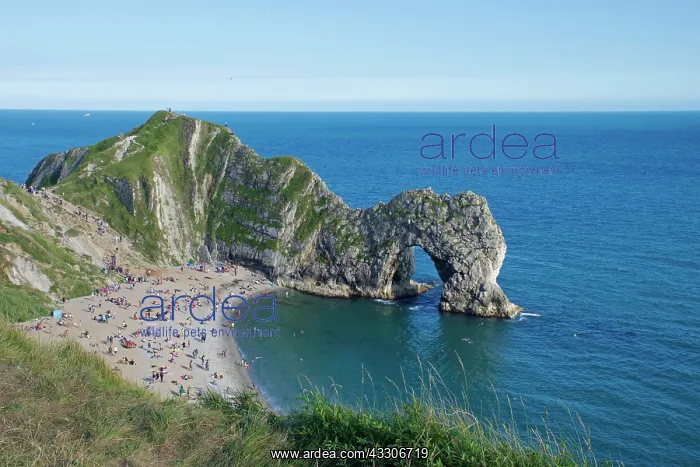 : 80196826 Durdle Door / Durdle Dor - sandy beach : 80196826 Durdle Door / Durdle Dor - sandy beach