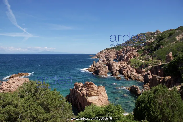 : 80196835 Seascape and Rocks Costa Paradiso, Province : 80196835 Seascape and Rocks Costa Paradiso, Province