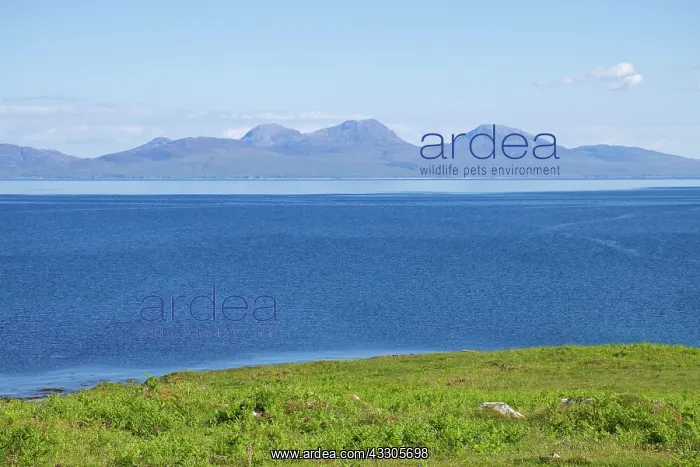 : 80196846 Paps of Jura - mountain peaks and North : 80196846 Paps of Jura - mountain peaks and North