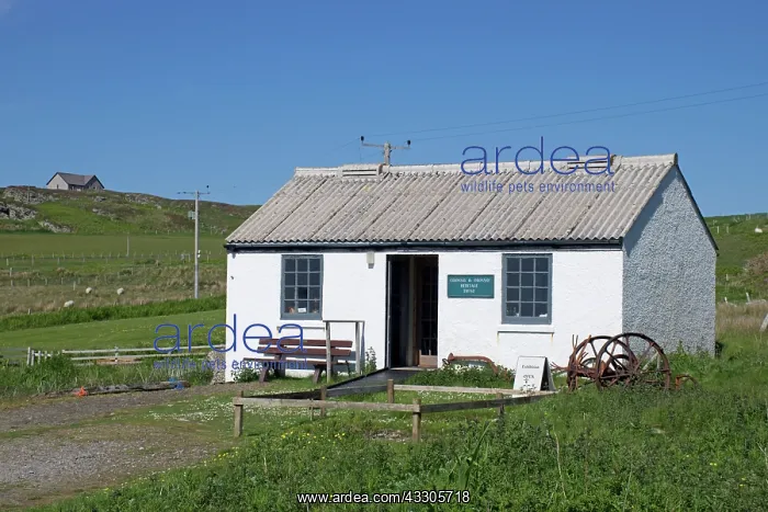 : 80196848 Colonsay and Oransay Heritage Trust Building : 80196848 Colonsay and Oransay Heritage Trust Building