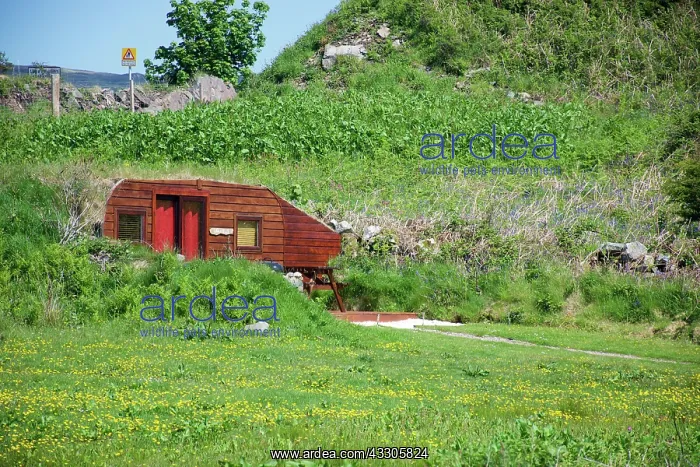 : 80196858 Storm Pod - eco friendly self catering : 80196858 Storm Pod - eco friendly self catering
