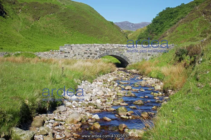 : 80196859 Stone Arch Bridge - over Abhainn Mhor river : 80196859 Stone Arch Bridge - over Abhainn Mhor river