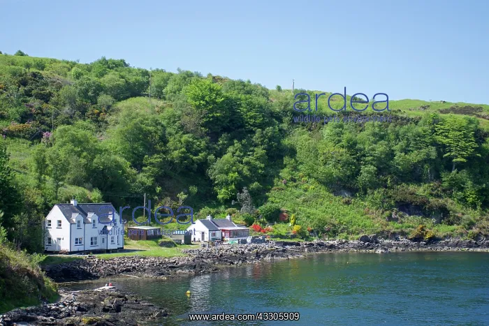 : 80196865 Country House - on shore Port Askaig : 80196865 Country House - on shore Port Askaig