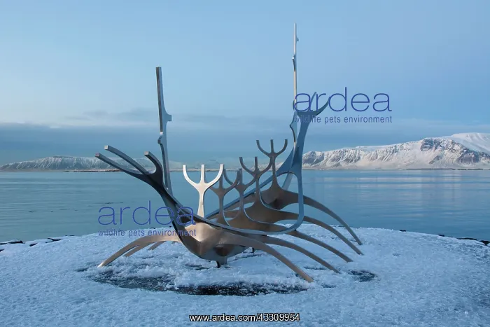: 80197420 Sun Voyager Sculpture Seabraut, Reykjavik : 80197420 Sun Voyager Sculpture Seabraut, Reykjavik