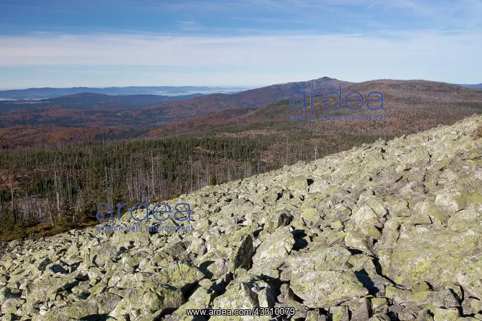 : 80197437 Bavarian Forest - view from Mount Lusen : 80197437 Bavarian Forest - view from Mount Lusen