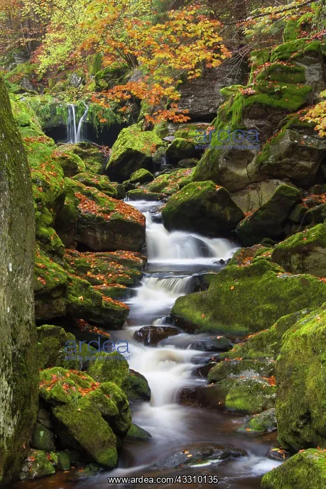  : 80197444 Grosse Ohe - stream flows through the valley