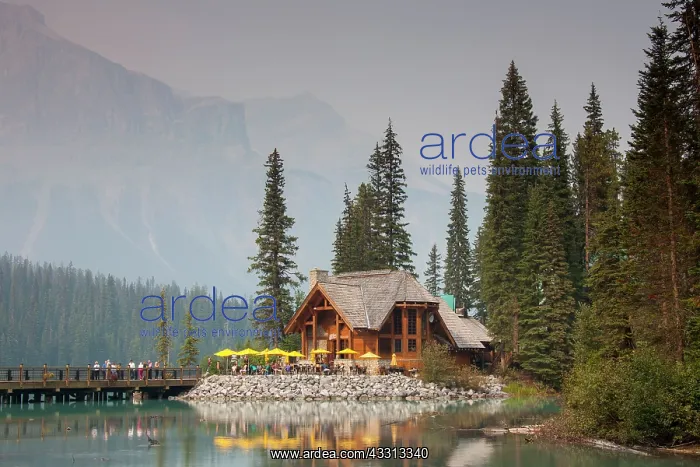 : 80197496 Yoho National Park - cottage with tourists : 80197496 Yoho National Park - cottage with tourists