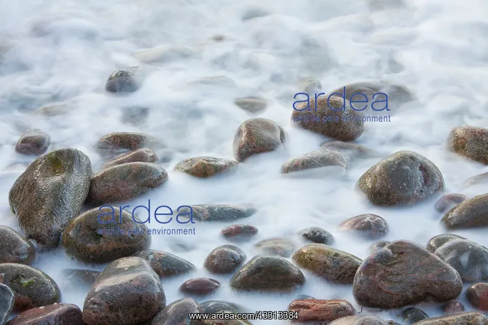 : 80197500 Stones - in the waves Kullaberg, Skane : 80197500 Stones - in the waves Kullaberg, Skane