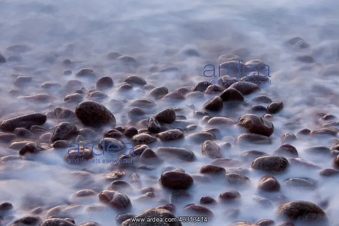 : 80197503 Stones - in the waves Kullaberg, Skane : 80197503 Stones - in the waves Kullaberg, Skane