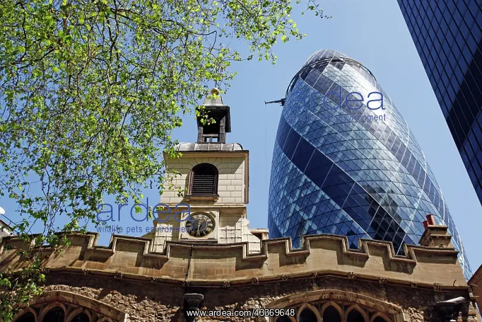 : 80197729 30 St Mary Axe (formerly the Swiss Re Building) : 80197729 30 St Mary Axe (formerly the Swiss Re Building)