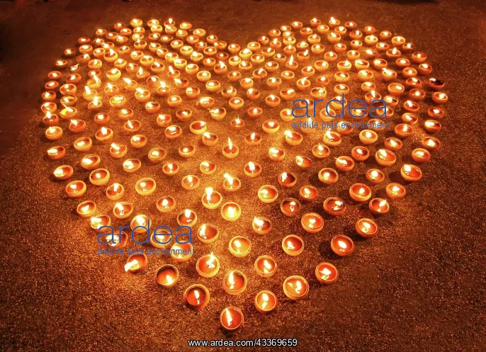 : 80197737 Love heart shape made out of candles and : 80197737 Love heart shape made out of candles and