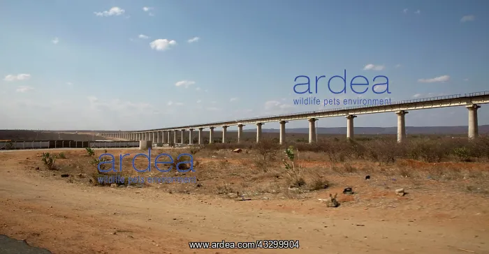 : 80198151 Chinese Railway - under construction Mombasa : 80198151 Chinese Railway - under construction Mombasa