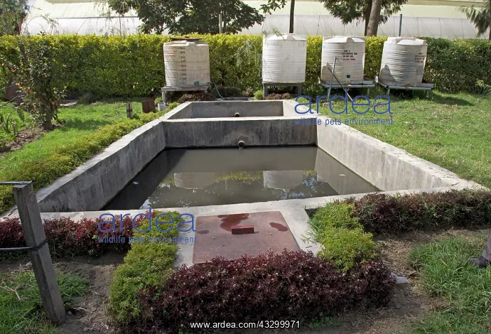 : 80198158 Sediment Tank - on constructed wetland : 80198158 Sediment Tank - on constructed wetland