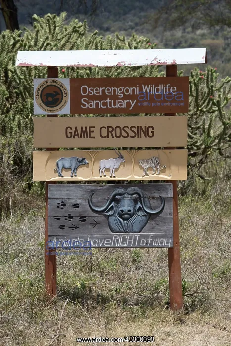 : 80198168 Oserigoni Wildlife Sanctuary - game crossing : 80198168 Oserigoni Wildlife Sanctuary - game crossing