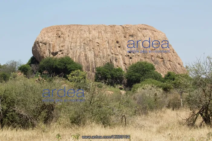 : 80198174 Rock Outcrop - dryland savannah landscape : 80198174 Rock Outcrop - dryland savannah landscape