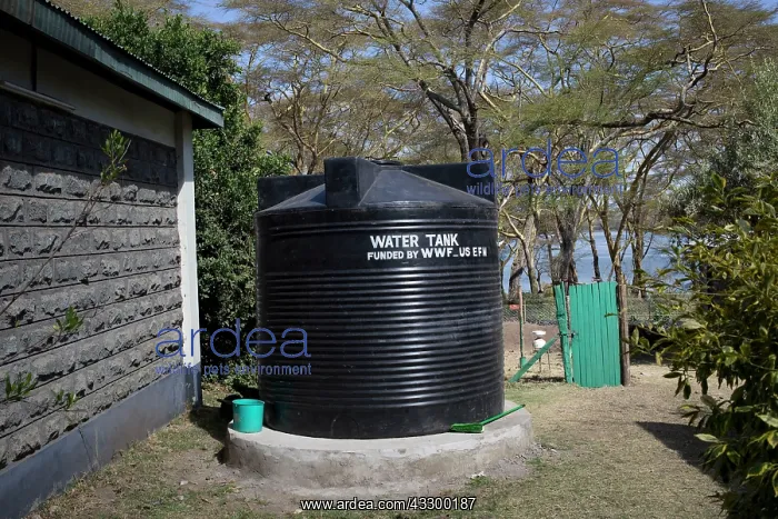  : 80198176 Large Water Storage Tank Forestry Project