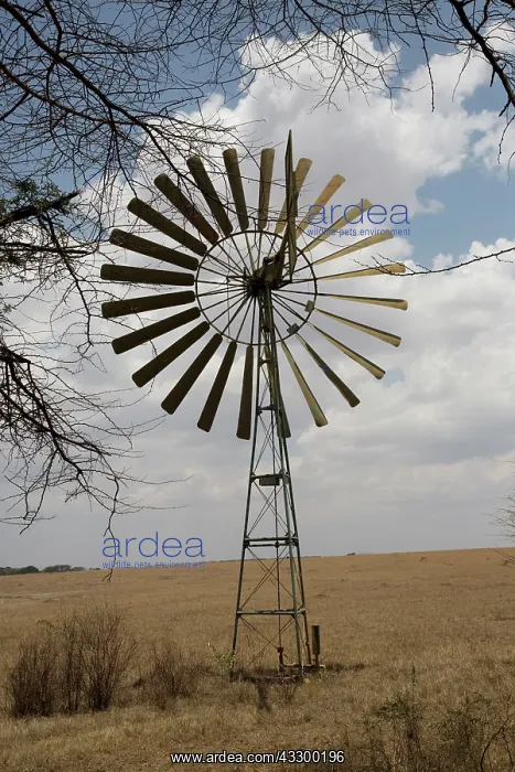 : 80198177 Kijito Wind Pump - for pumping water Masai : 80198177 Kijito Wind Pump - for pumping water Masai