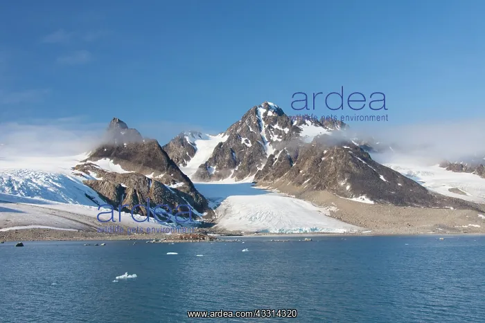 : 80198650 Hamilton-Bay - mountains and glacier Raudfjord : 80198650 Hamilton-Bay - mountains and glacier Raudfjord