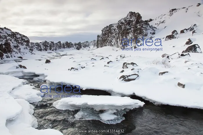 : 80198982 Almannagja Canyon Thingvellir National : 80198982 Almannagja Canyon Thingvellir National