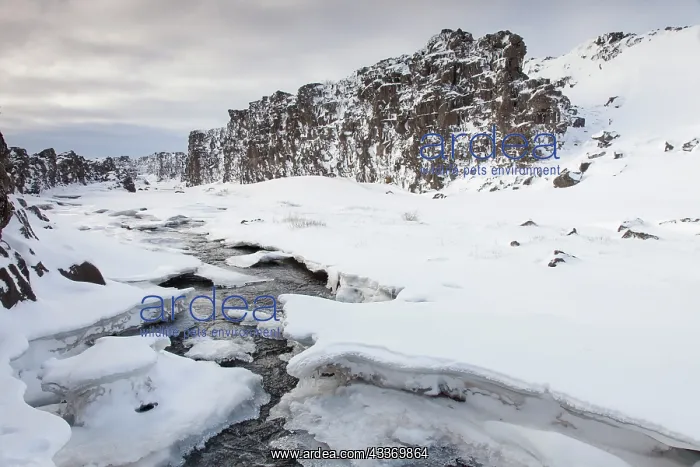 : 80198983 Almannagja Canyon Thingvellir National : 80198983 Almannagja Canyon Thingvellir National
