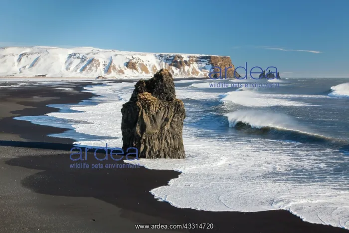 : 80198985 Eagle Rock - on the south coast Arnardrangur : 80198985 Eagle Rock - on the south coast Arnardrangur