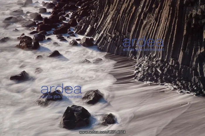 : 80198986 Basalt Cliff - at the coast Arnarstapi : 80198986 Basalt Cliff - at the coast Arnarstapi