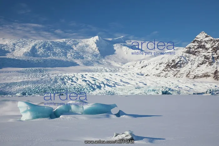 : 80199001 Iceberg Fjallsarlon Glacier Lagoon, Iceland : 80199001 Iceberg Fjallsarlon Glacier Lagoon, Iceland