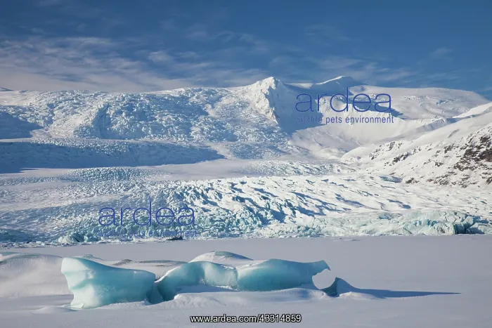: 80199002 Iceberg Fjallsarlon Glacier Lagoon, Iceland : 80199002 Iceberg Fjallsarlon Glacier Lagoon, Iceland