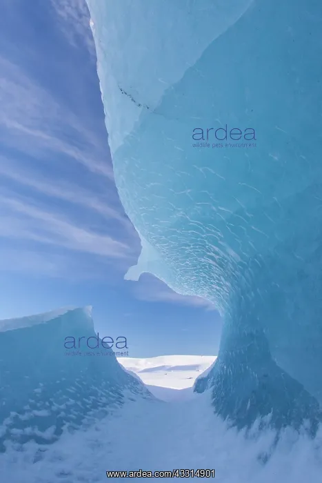 : 80199007 Iceberg Fjallsarlon Glacier Lagoon, Iceland : 80199007 Iceberg Fjallsarlon Glacier Lagoon, Iceland