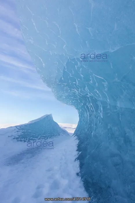 : 80199009 Iceberg Fjallsarlon Glacier Lagoon, Iceland : 80199009 Iceberg Fjallsarlon Glacier Lagoon, Iceland