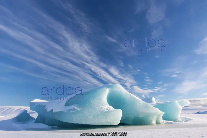 : 80199011 Iceberg Fjallsarlon Glacier Lagoon, Iceland : 80199011 Iceberg Fjallsarlon Glacier Lagoon, Iceland