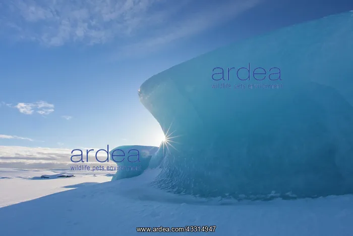 : 80199012 Iceberg Fjallsarlon Glacier Lagoon, Iceland : 80199012 Iceberg Fjallsarlon Glacier Lagoon, Iceland