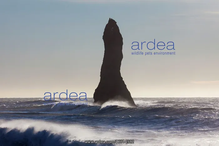  : 80199016 Rock Stacks - off the coast Reynisdrangar