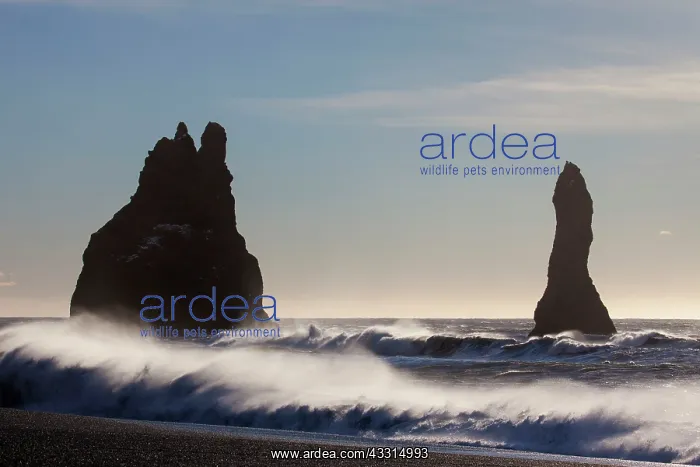 : 80199017 Rock Stacks - off the coast Reynisdrangar : 80199017 Rock Stacks - off the coast Reynisdrangar