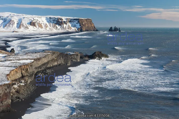 : 80199018 Rock Stacks - off the coast Reynisdrangar : 80199018 Rock Stacks - off the coast Reynisdrangar