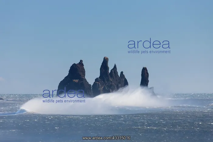 : 80199019 Rock Stacks - off the coast Reynisdrangar : 80199019 Rock Stacks - off the coast Reynisdrangar